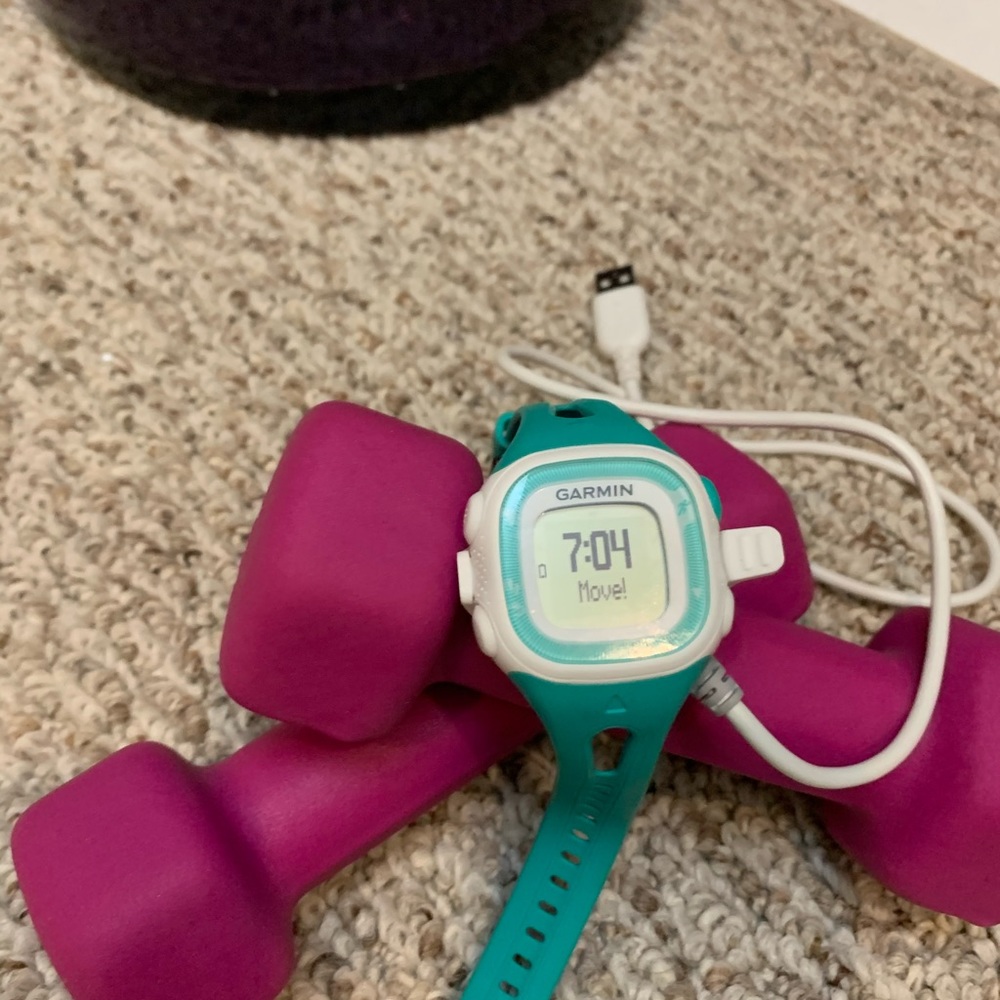 Garmin 15